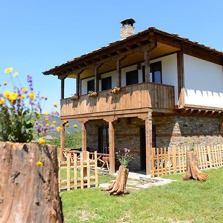 Dream House Villa Lesten Kültér fotó
