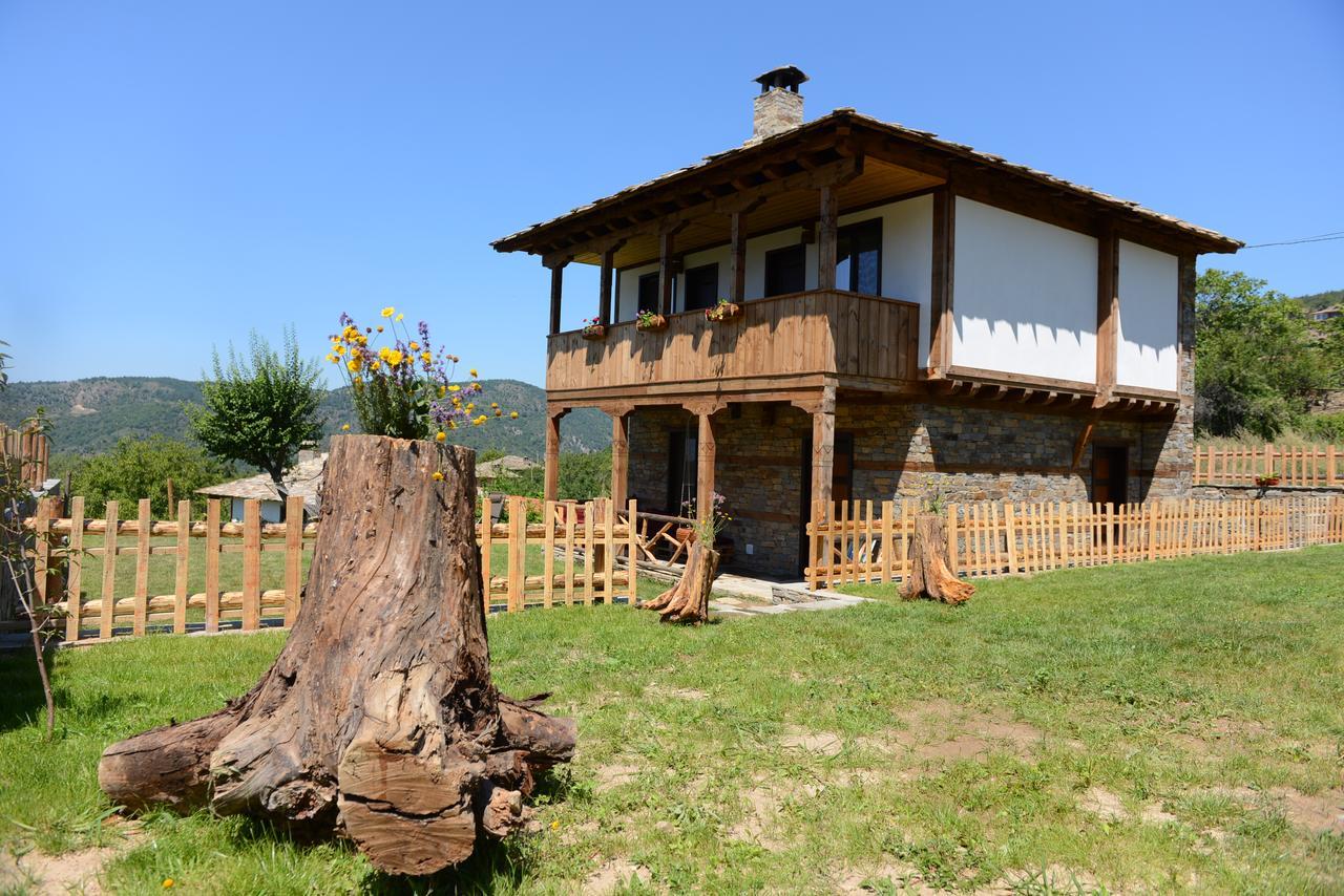 Dream House Villa Lesten Kültér fotó